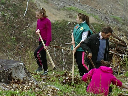 Plantare (c) eMaramures.ro